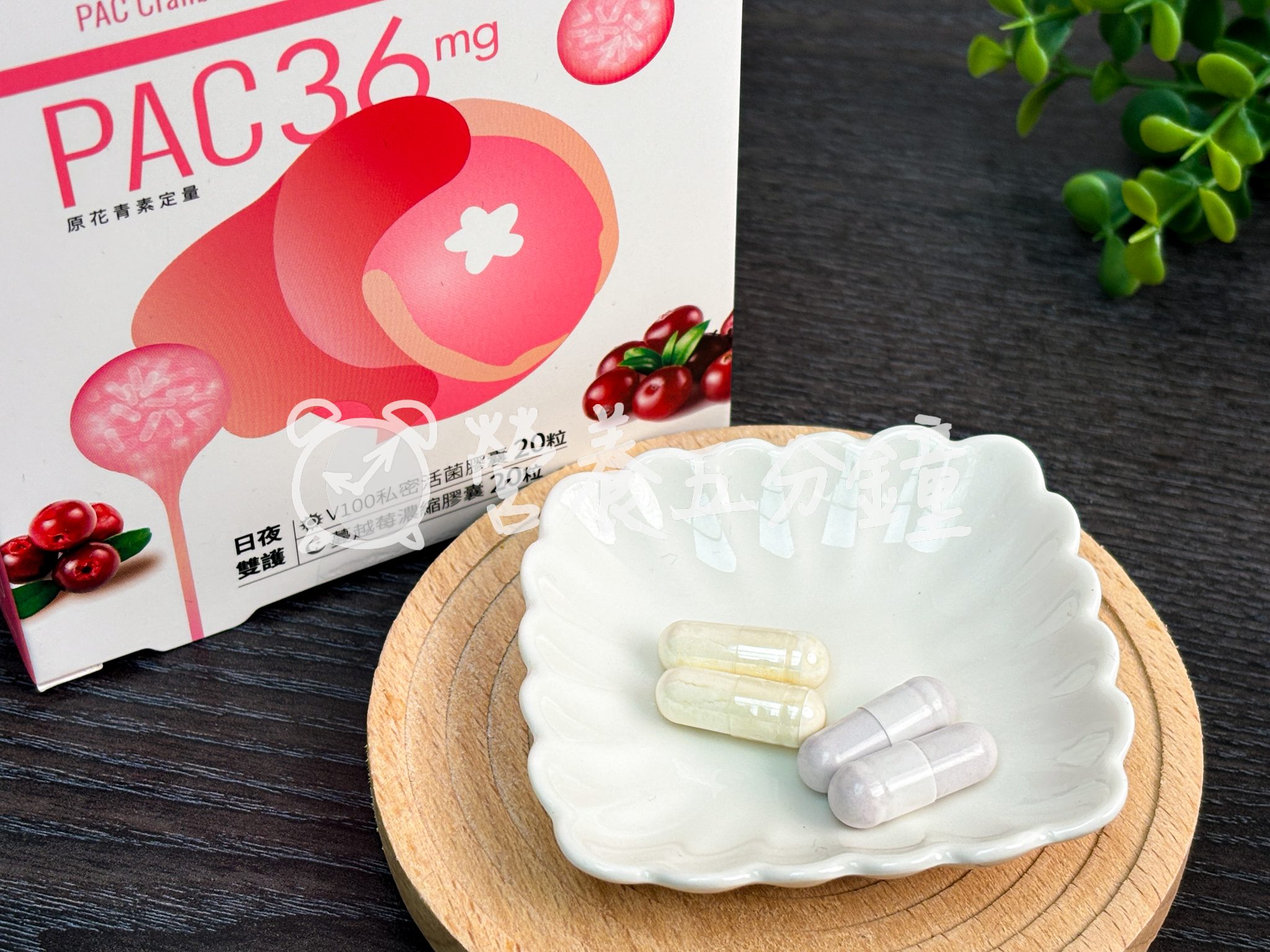 蔓越莓益生菌推薦：【VIGILL】V100蔓越莓私密益生菌