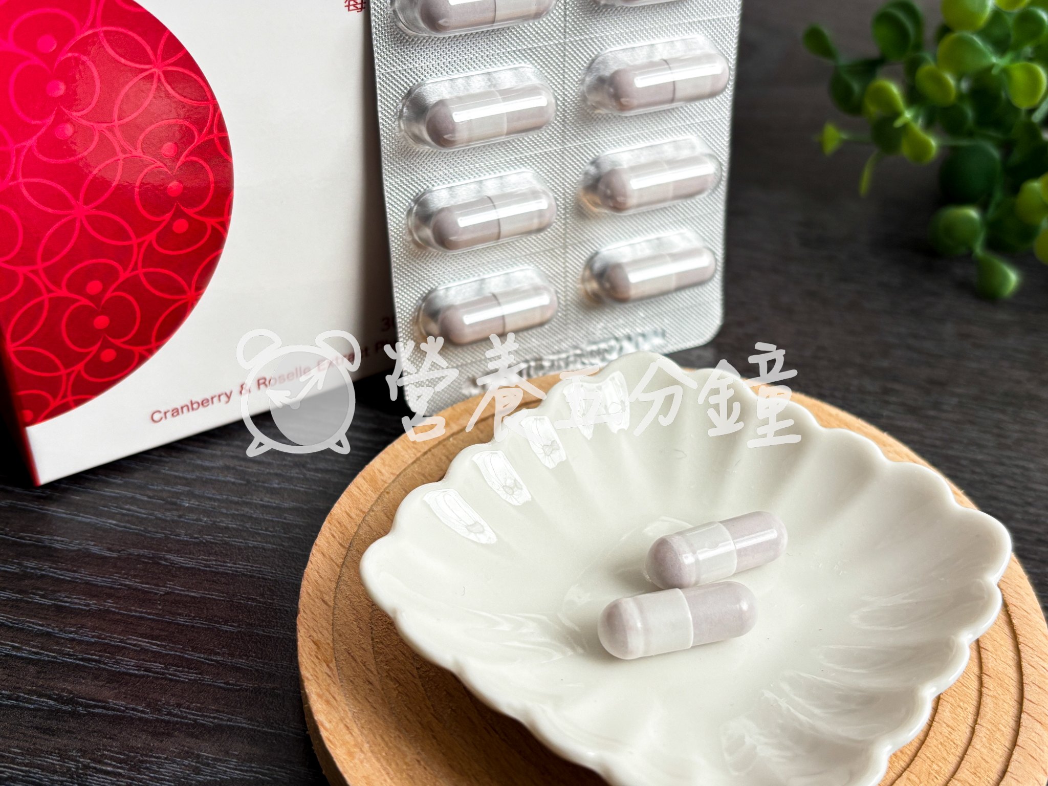 蔓越莓益生菌推薦：【老行家】蔓越莓益生菌