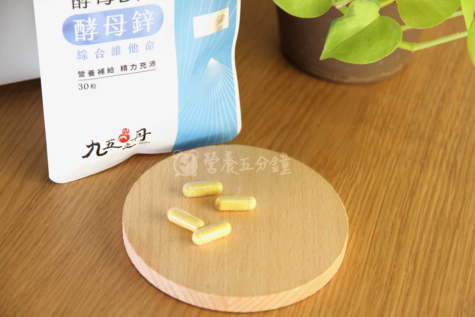 B群推薦:九五之丹猛虎.酵母B群+酵母鋅