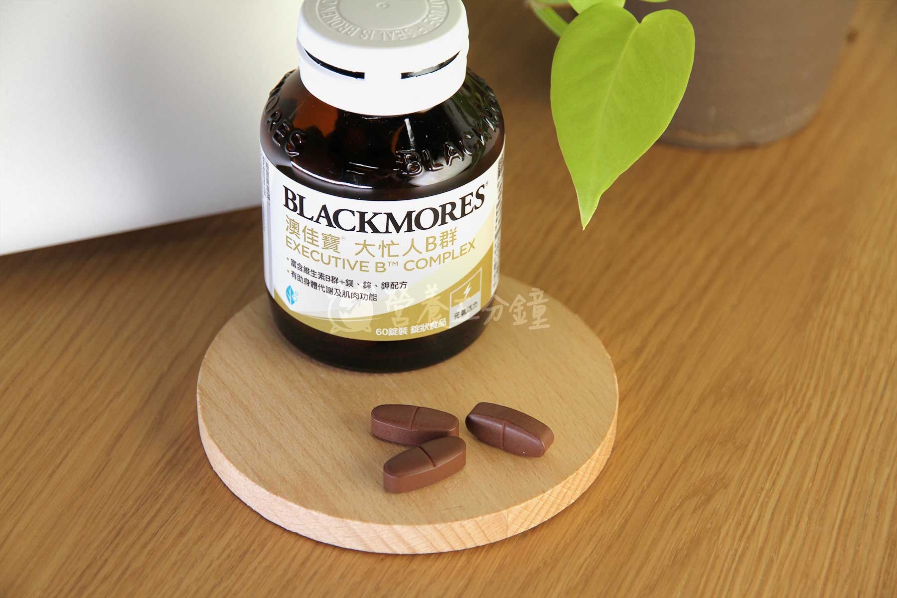 B群推薦:澳佳寶大忙人B群