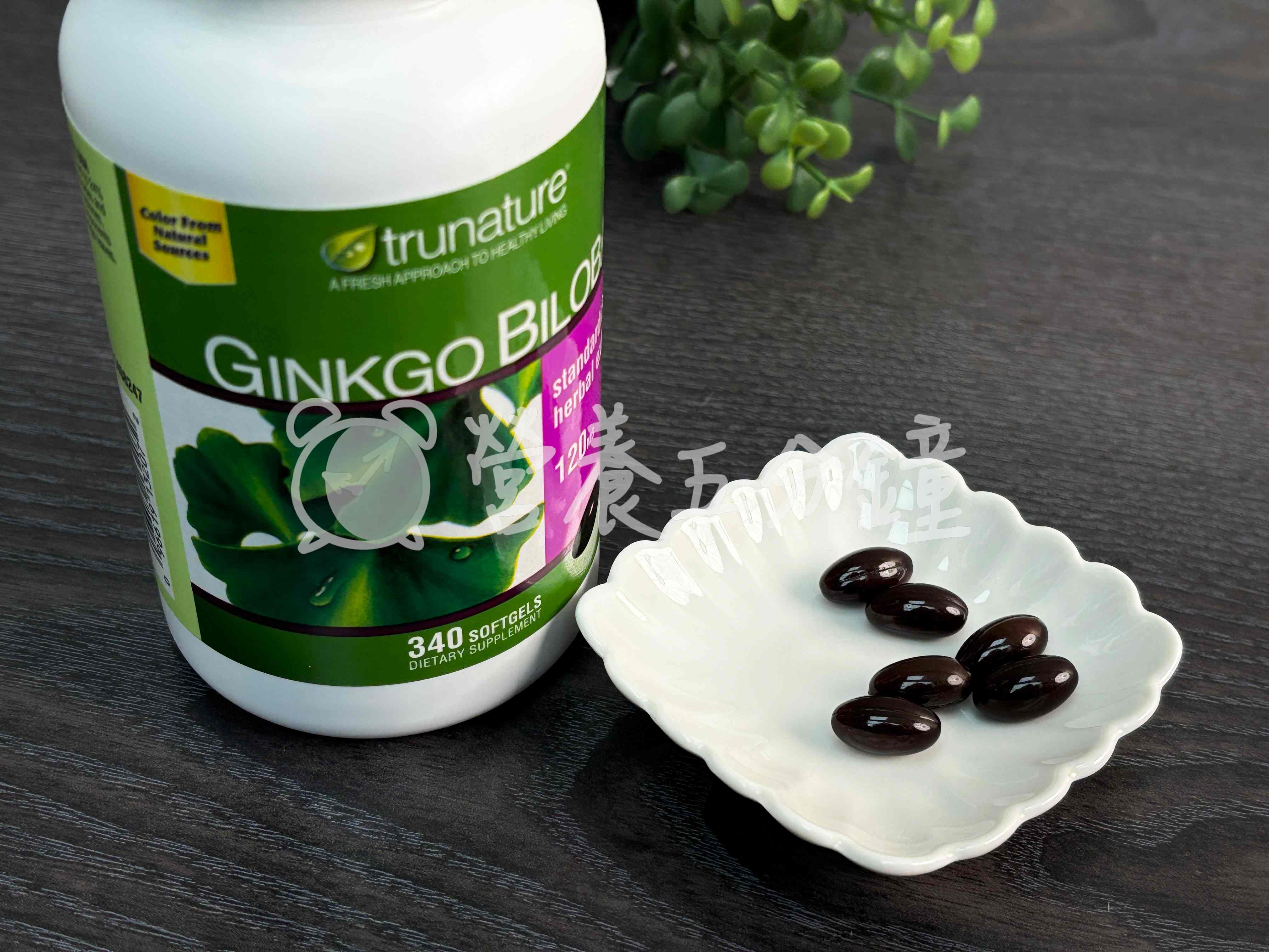 銀杏推薦：【美國好市多Trunature】銀杏葉精華120mg