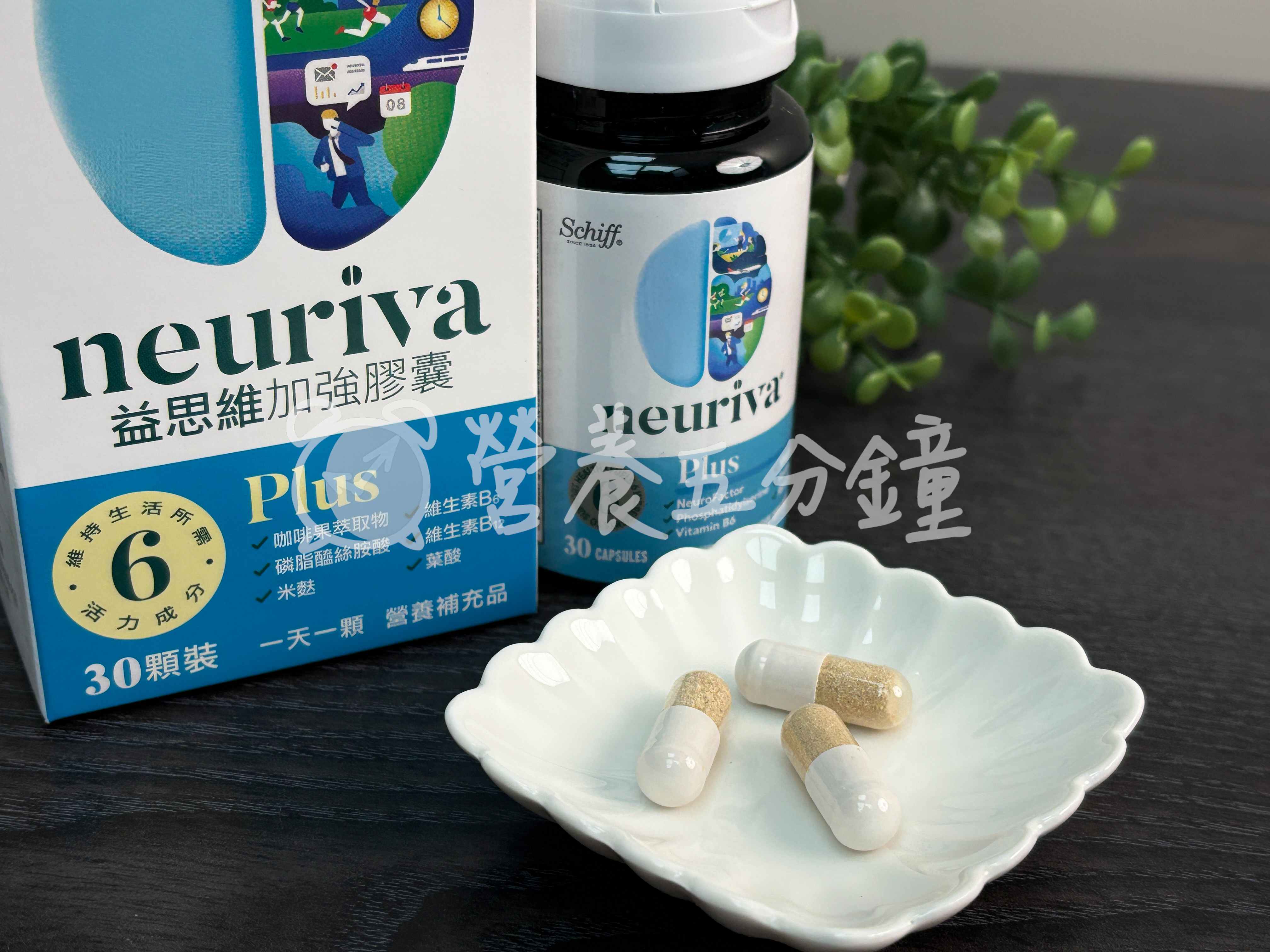 銀杏推薦：【Schiff Neuriva益思維】Plus加強膠囊