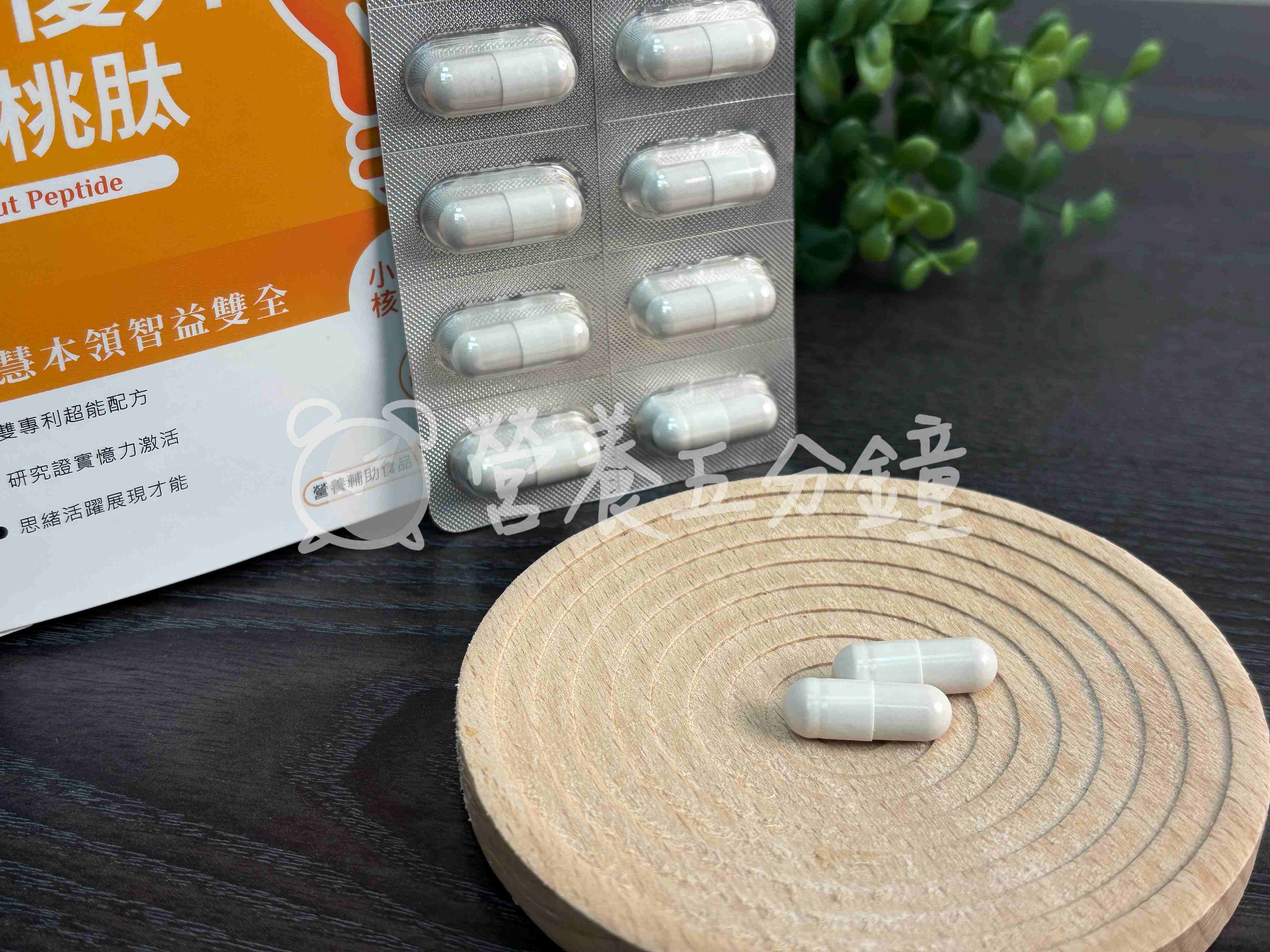 銀杏推薦：【BHK’s】智優升核桃肽植物膠囊