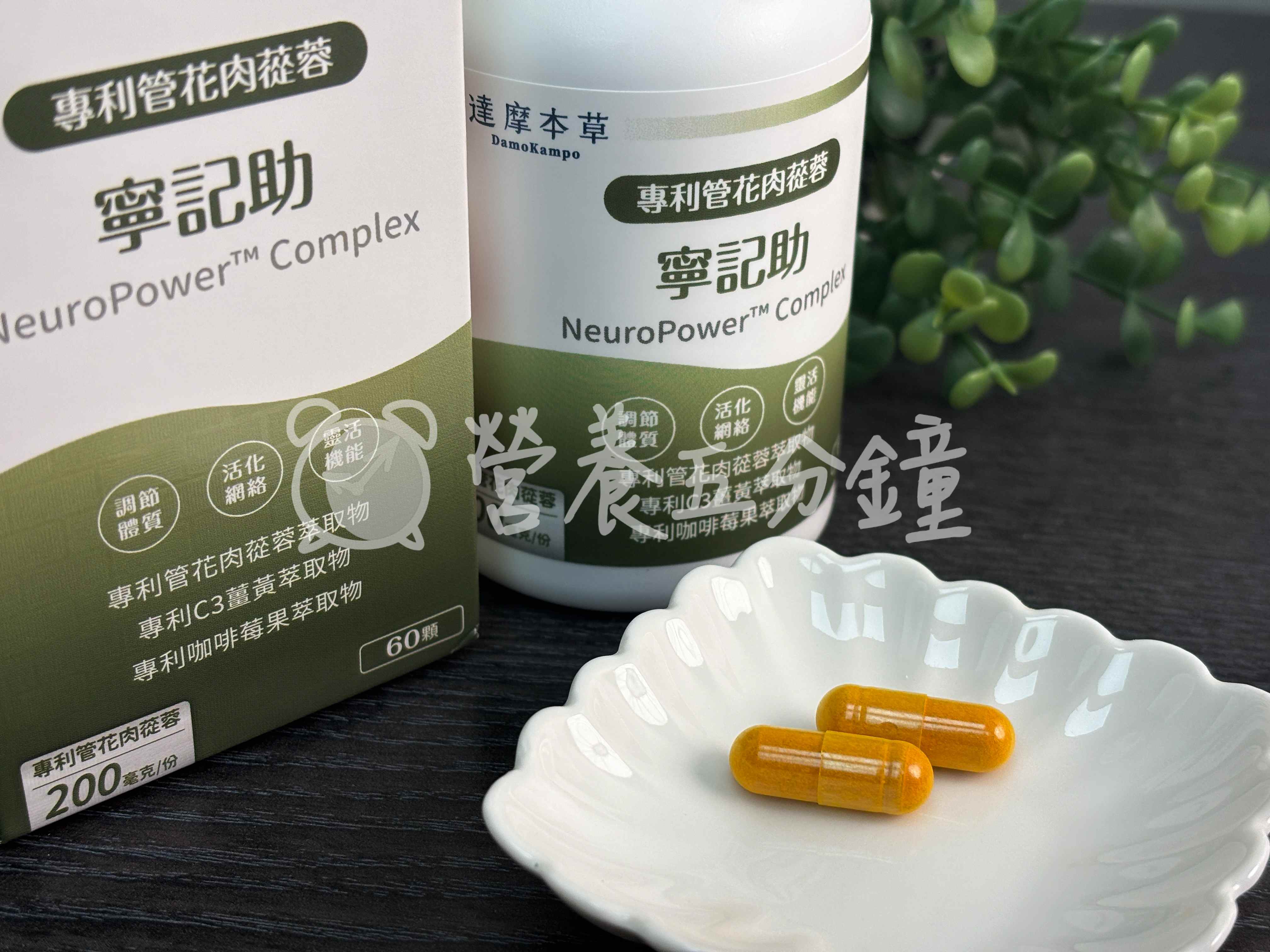 銀杏推薦：【達摩本草】寧記助植物膠囊