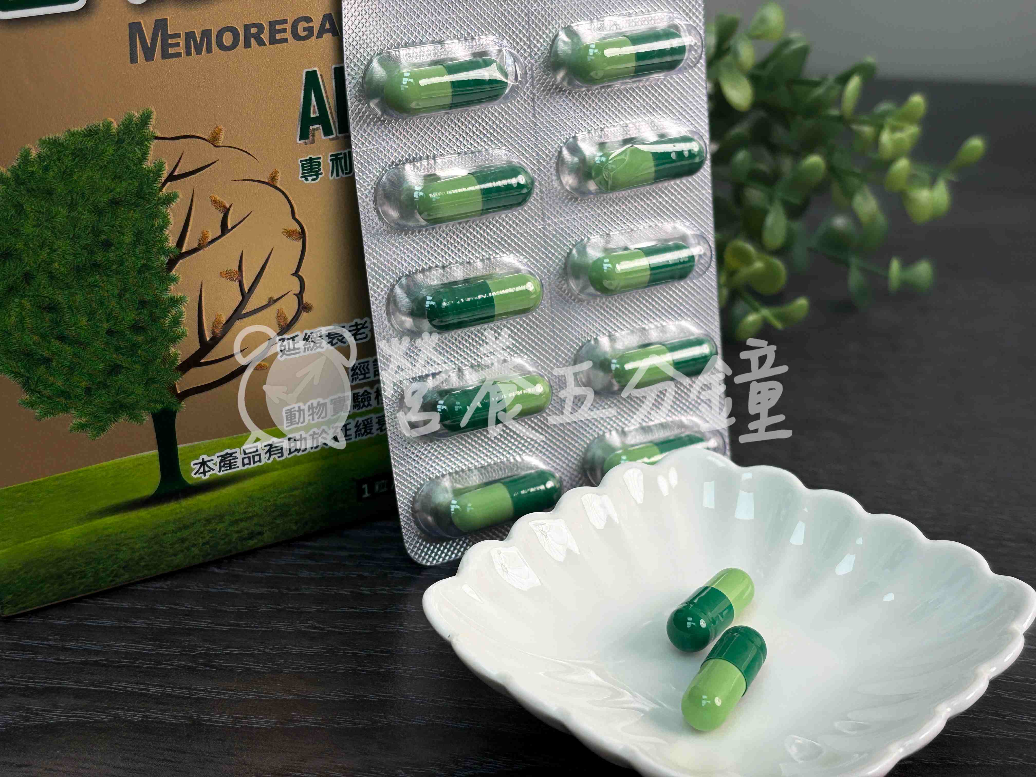 銀杏推薦：【杏輝醫藥】蓉憶記膠囊