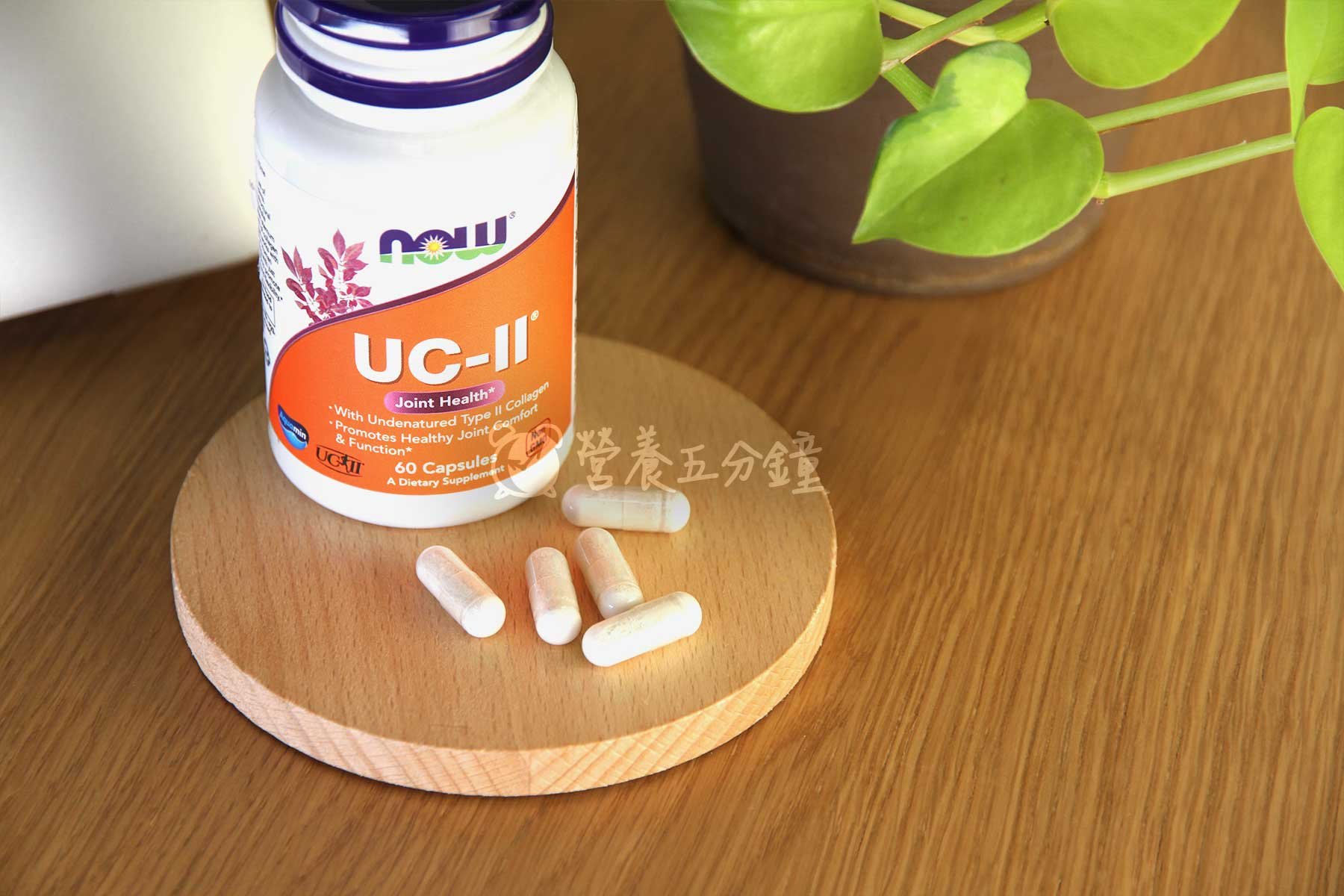 UC2推薦：【NOW健而婷】UCII膠原蛋白