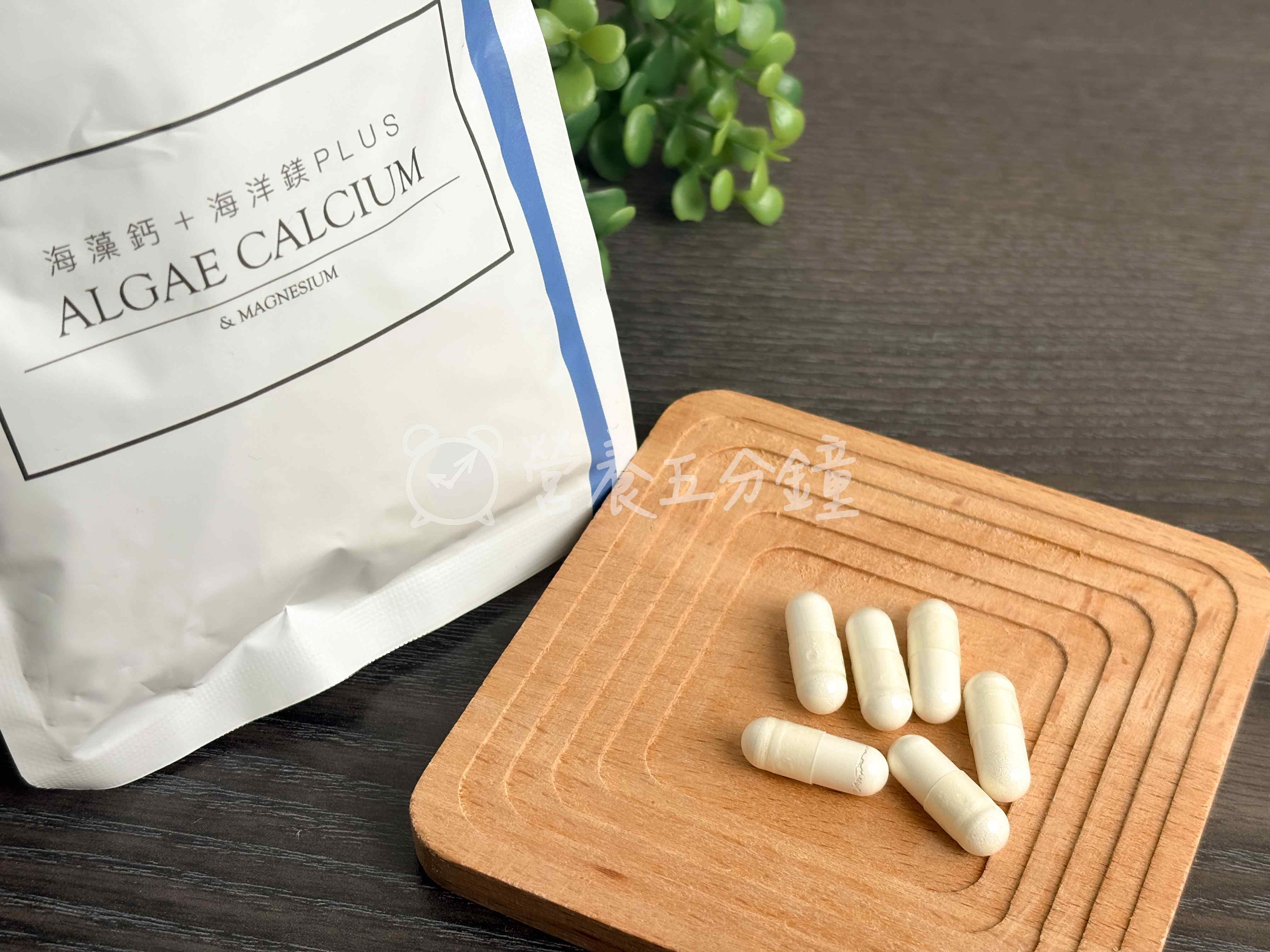 海藻鈣推薦：【豐傑生醫】海藻鈣+海洋鎂PLUS