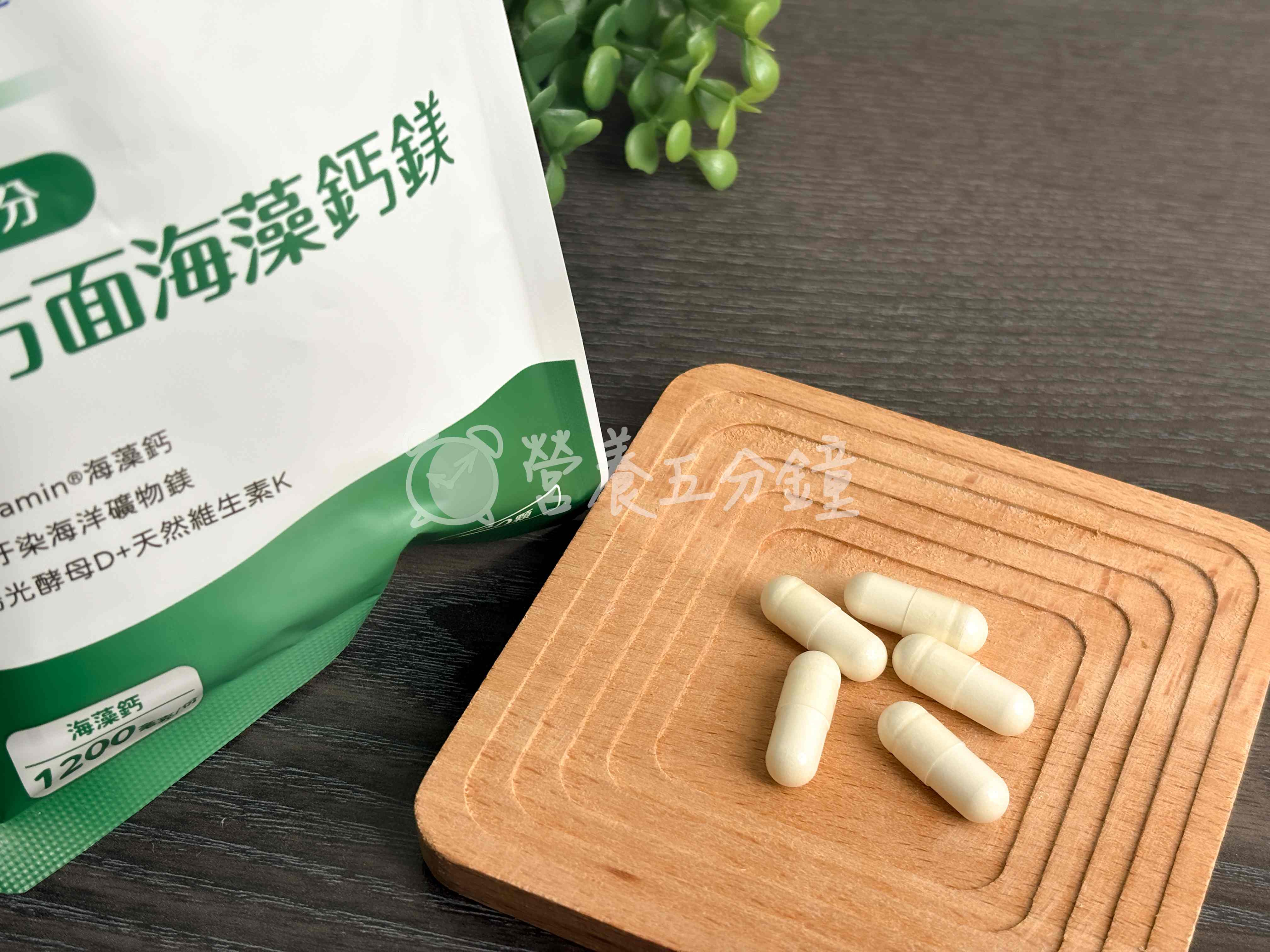 海藻鈣推薦：【達摩本草】全方面海藻鈣鎂