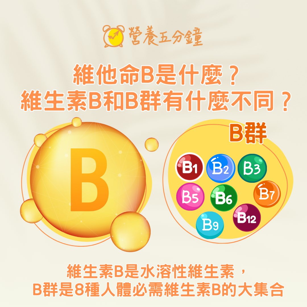 維生素B跟B群差異