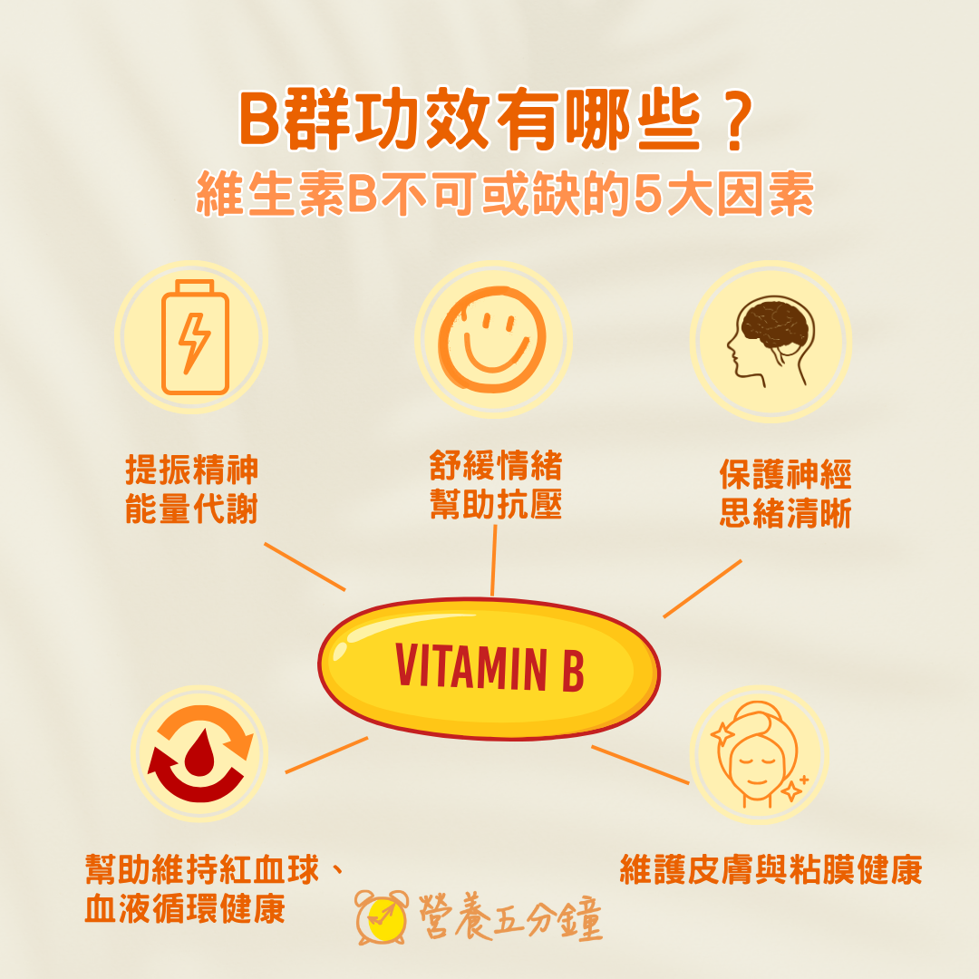 B群功效