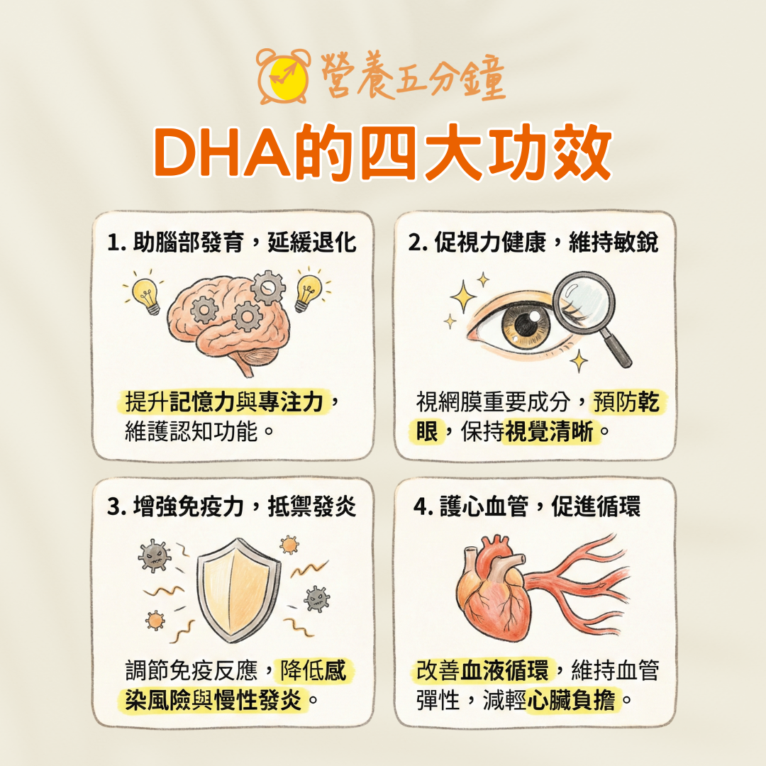 DHA功效好處