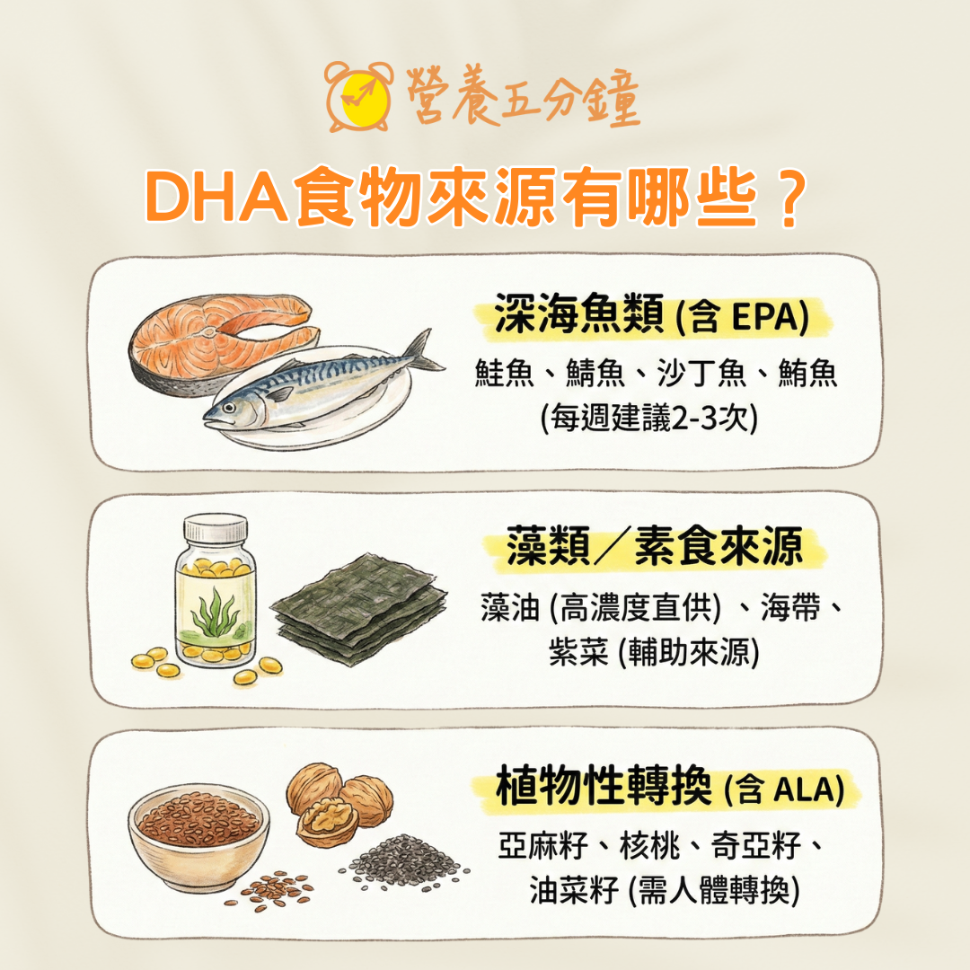 DHA食物來源