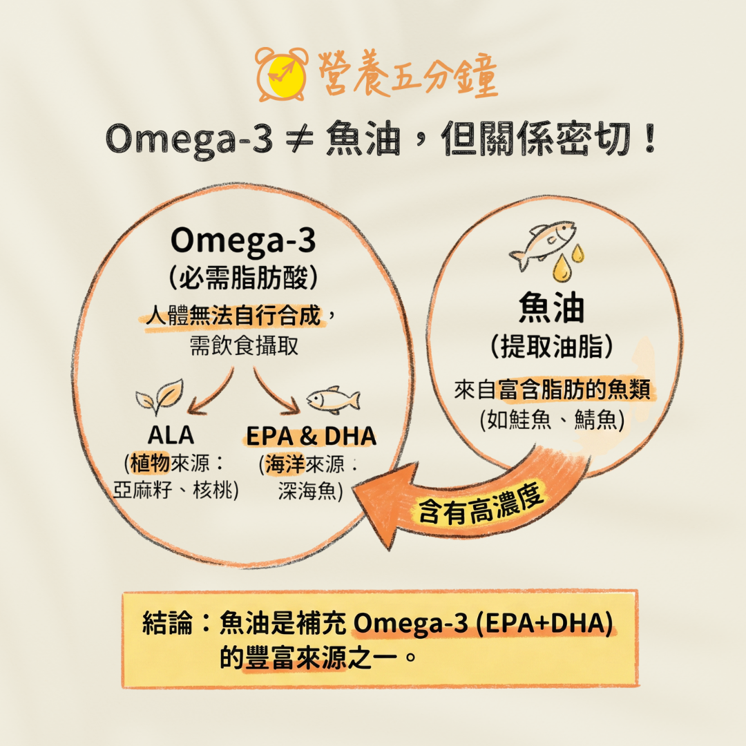Omega3是什麼?
