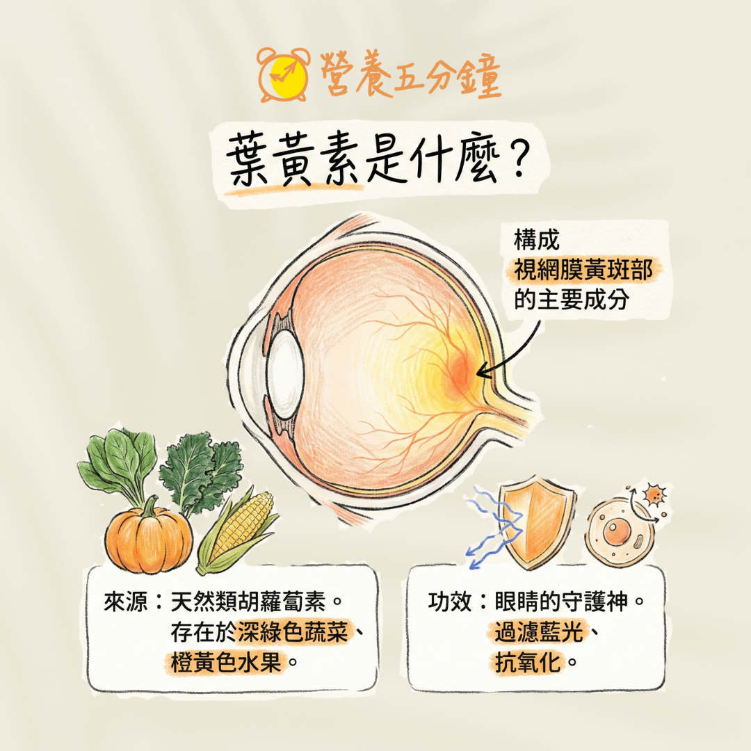 葉黃素是什麼