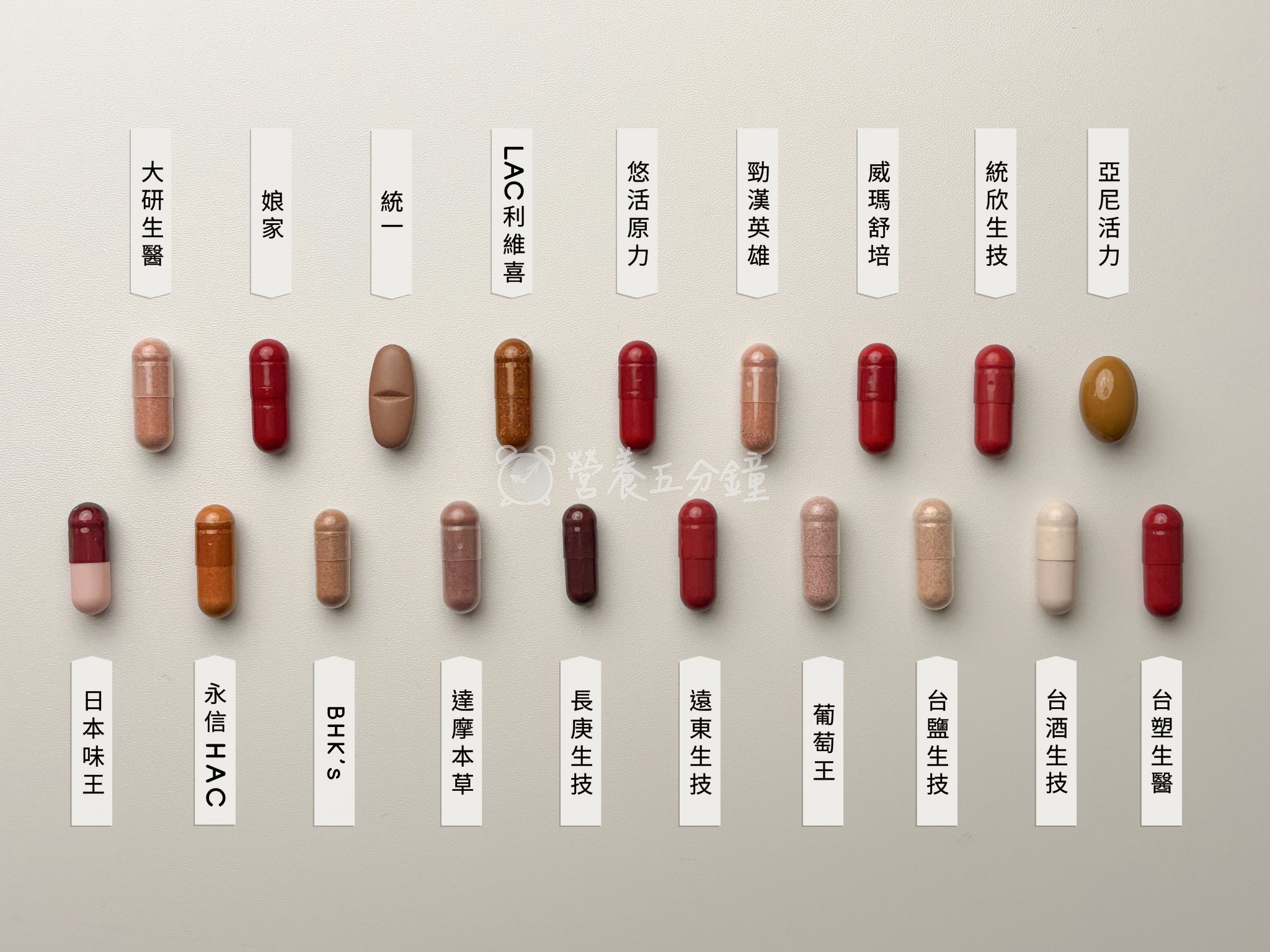 納豆紅麴推薦比較