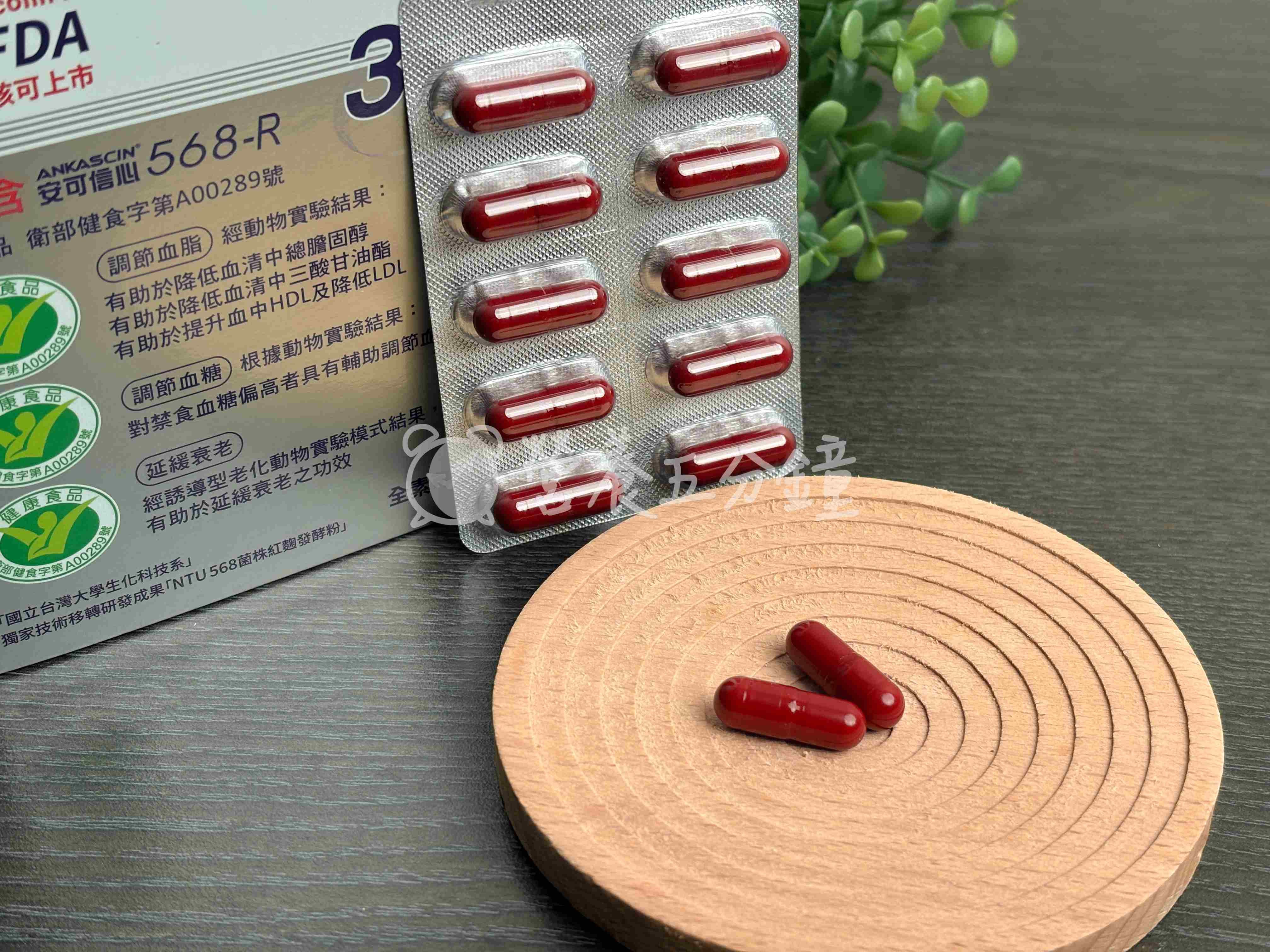 納豆紅麴推薦:【娘家】大紅麴