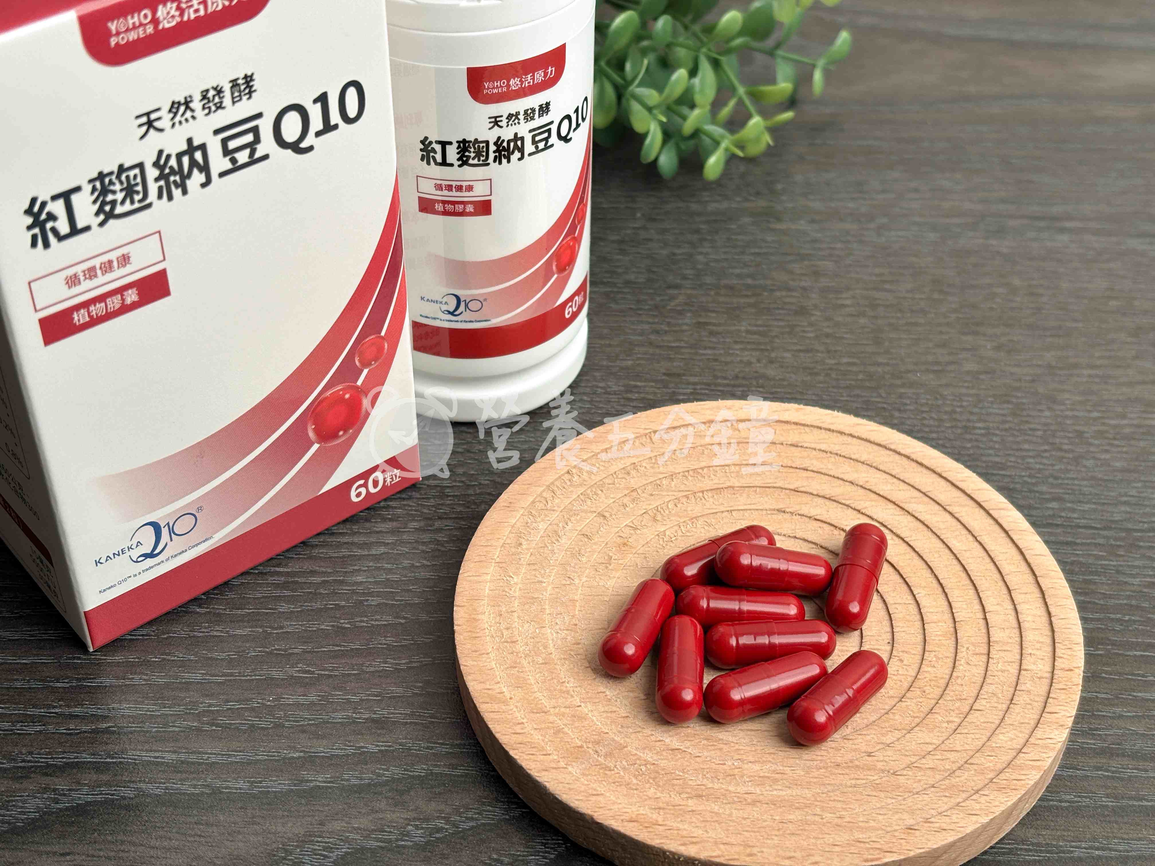 納豆紅麴推薦:【悠活原力】悠活紅麴納豆Q10膠囊