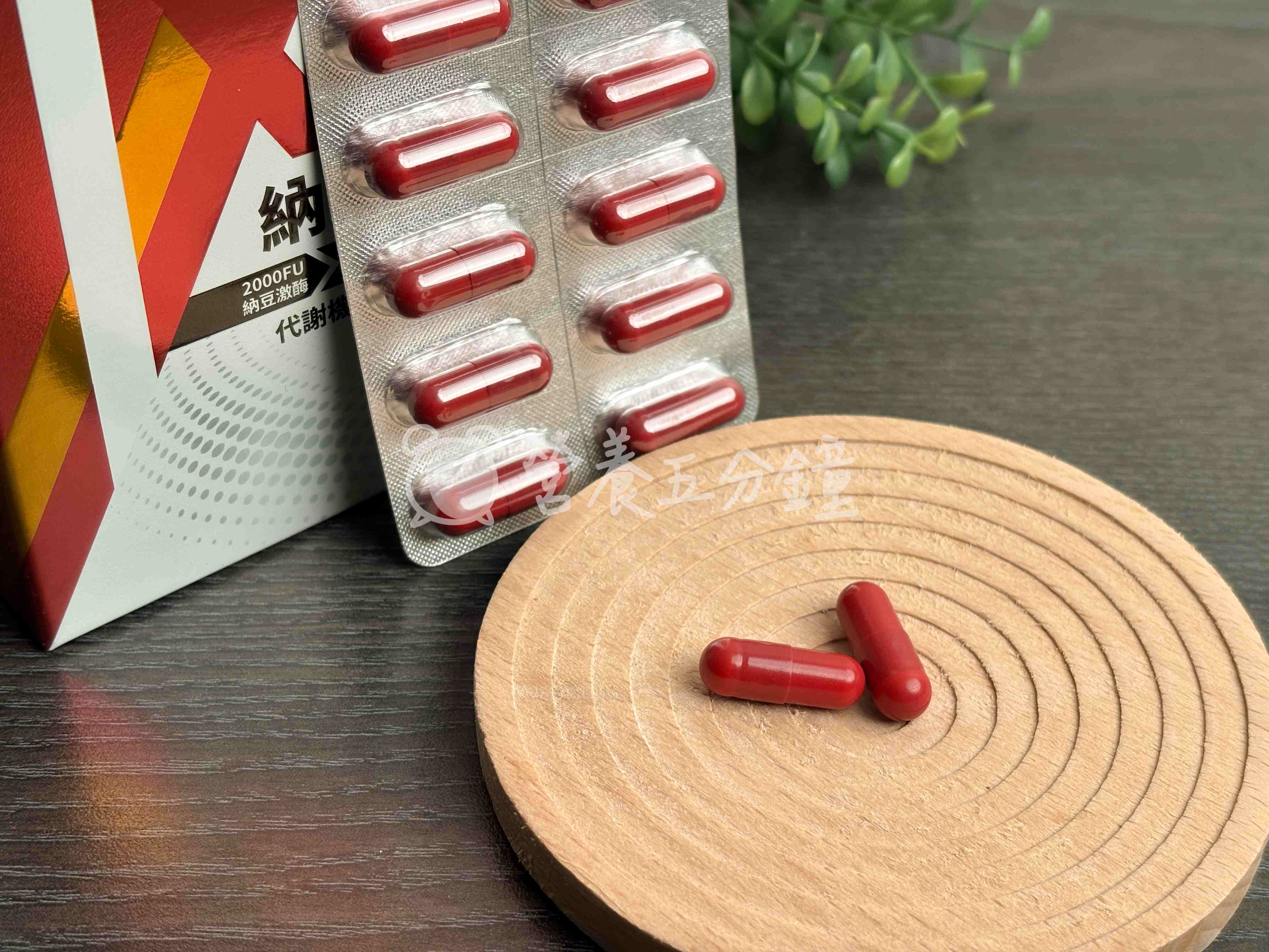 納豆紅麴推薦:【統欣生技】TX順效納豆紅麴