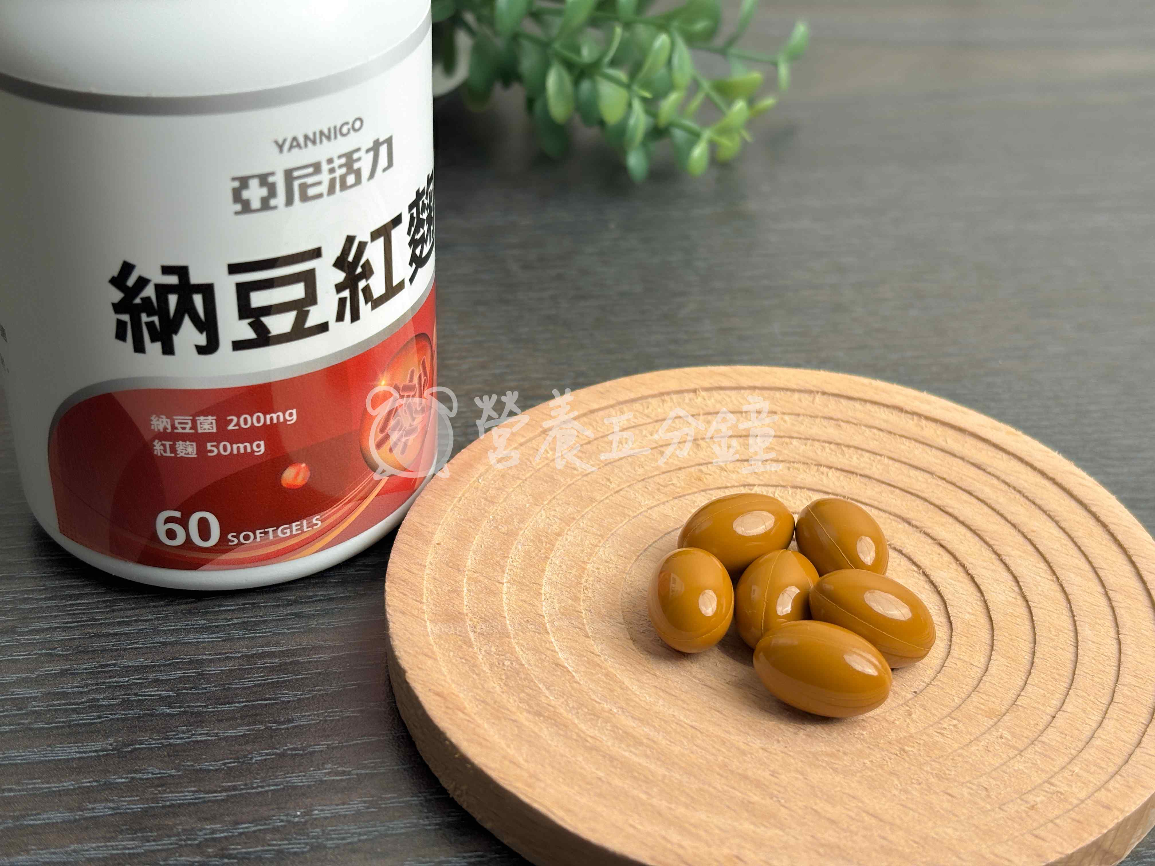 納豆紅麴推薦:【亞尼活力】納豆紅麴膠囊