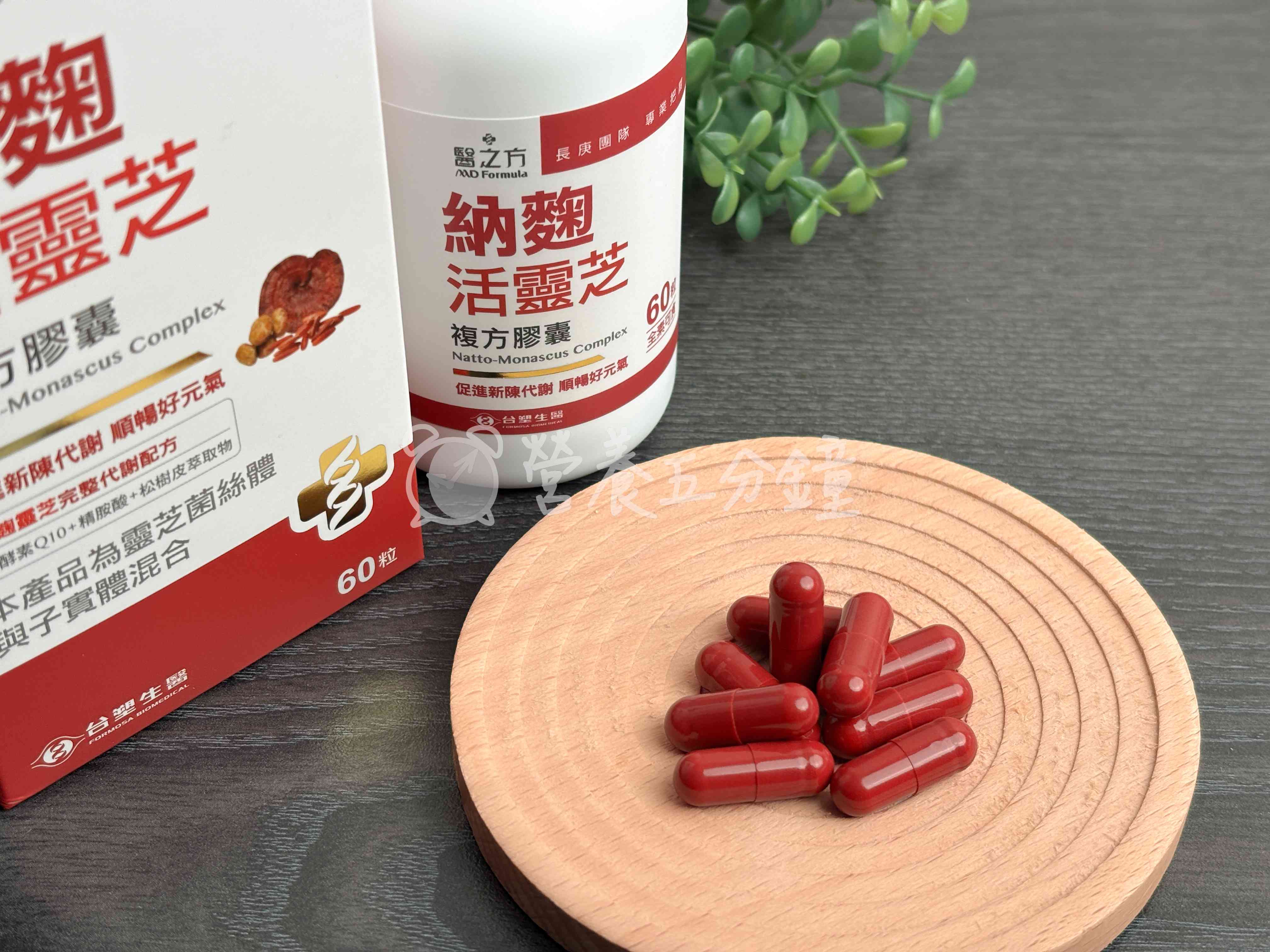 納豆紅麴推薦:【台塑生醫】醫之方納麴活靈芝複方膠囊