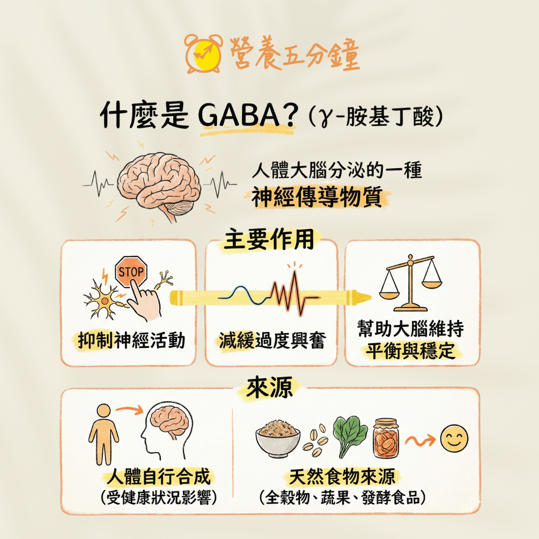 什麼是GABA?
