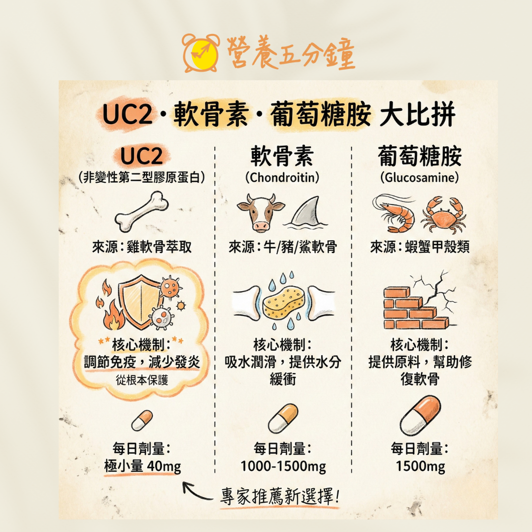 UC2、葡萄糖胺、軟骨素差異比較