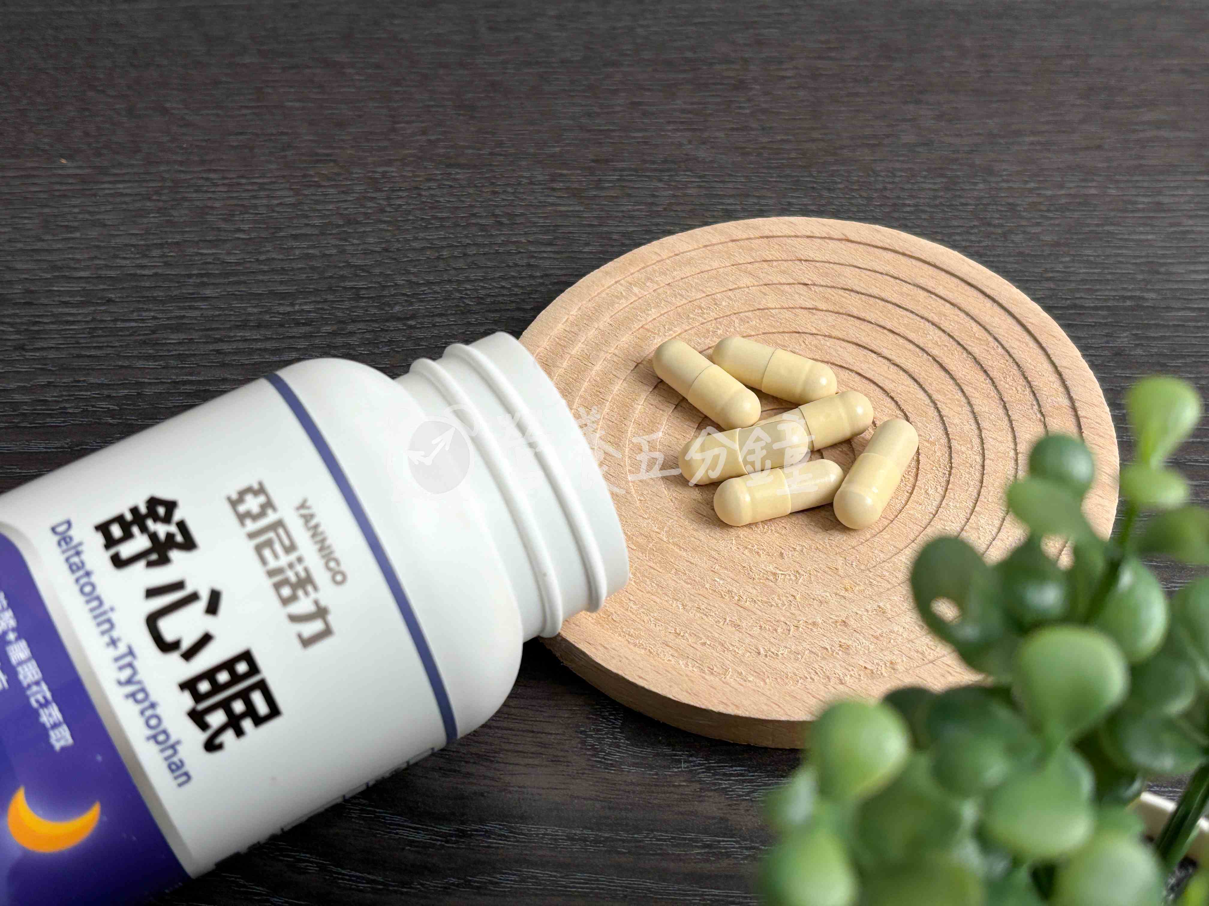 GABA推薦：亞尼活力舒心眠(GABA+色胺酸)