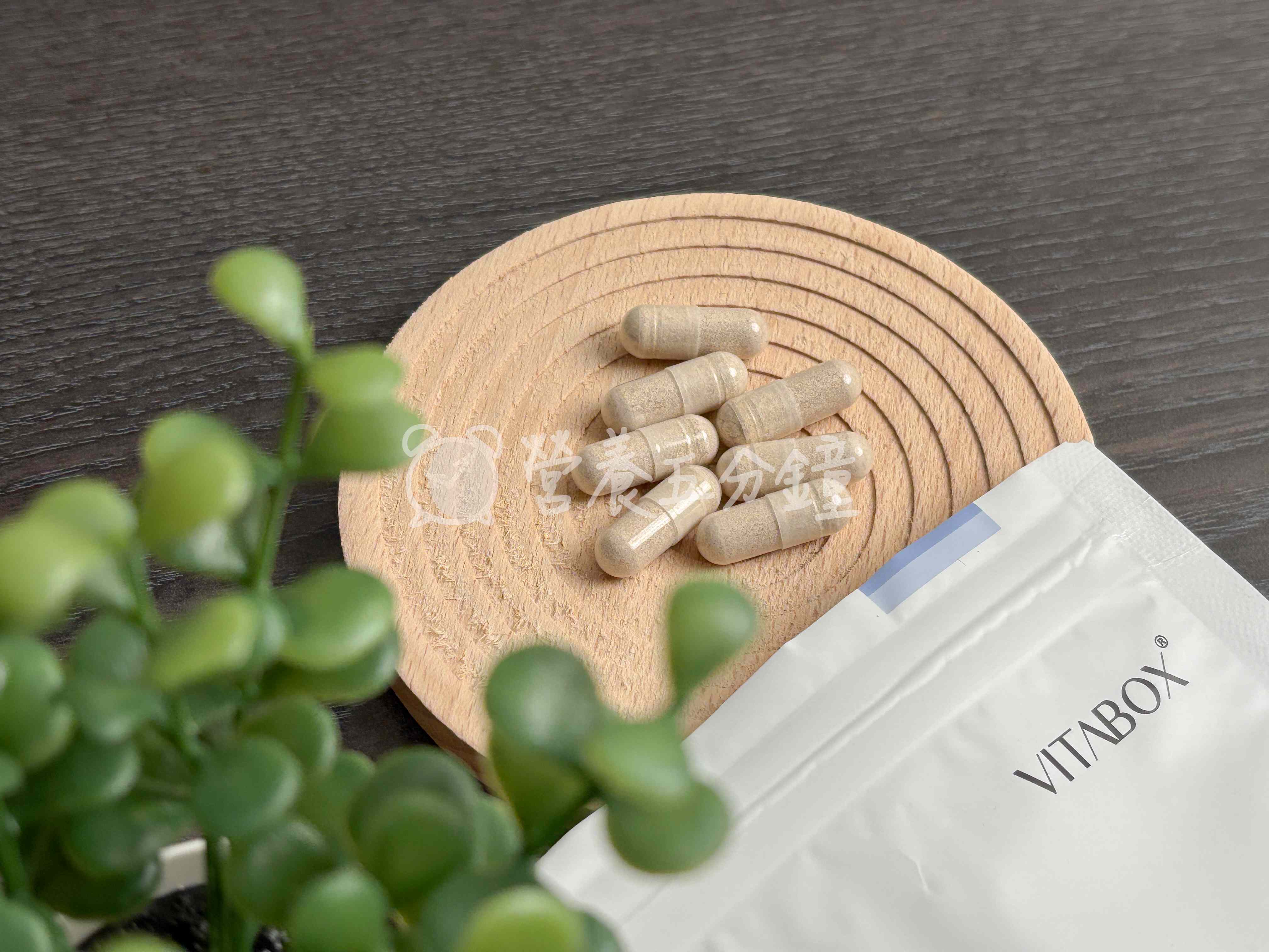 GABA推薦：Vitabox【入睡專科】日本專利GABA+97%高濃度芝麻素+海洋鎂