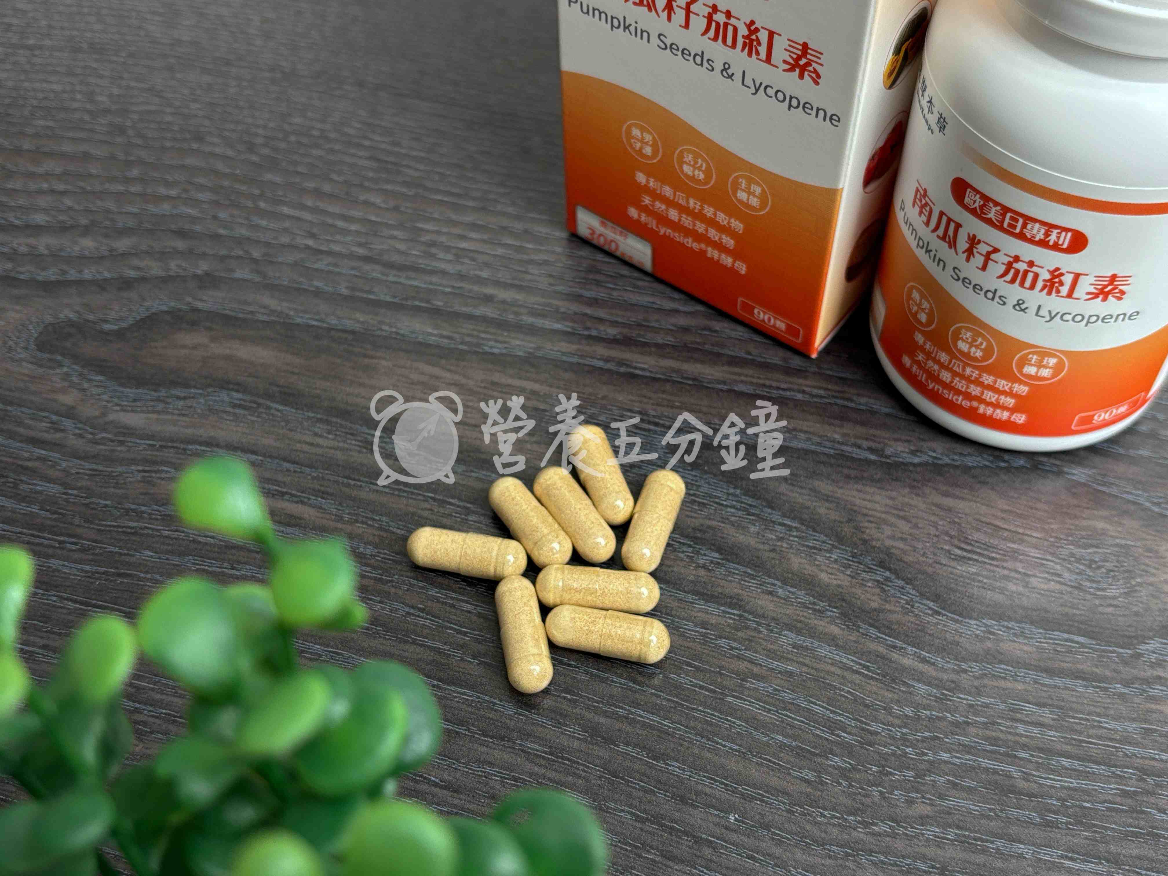 南瓜籽油推薦：達摩本草歐美日專利南瓜籽茄紅素 