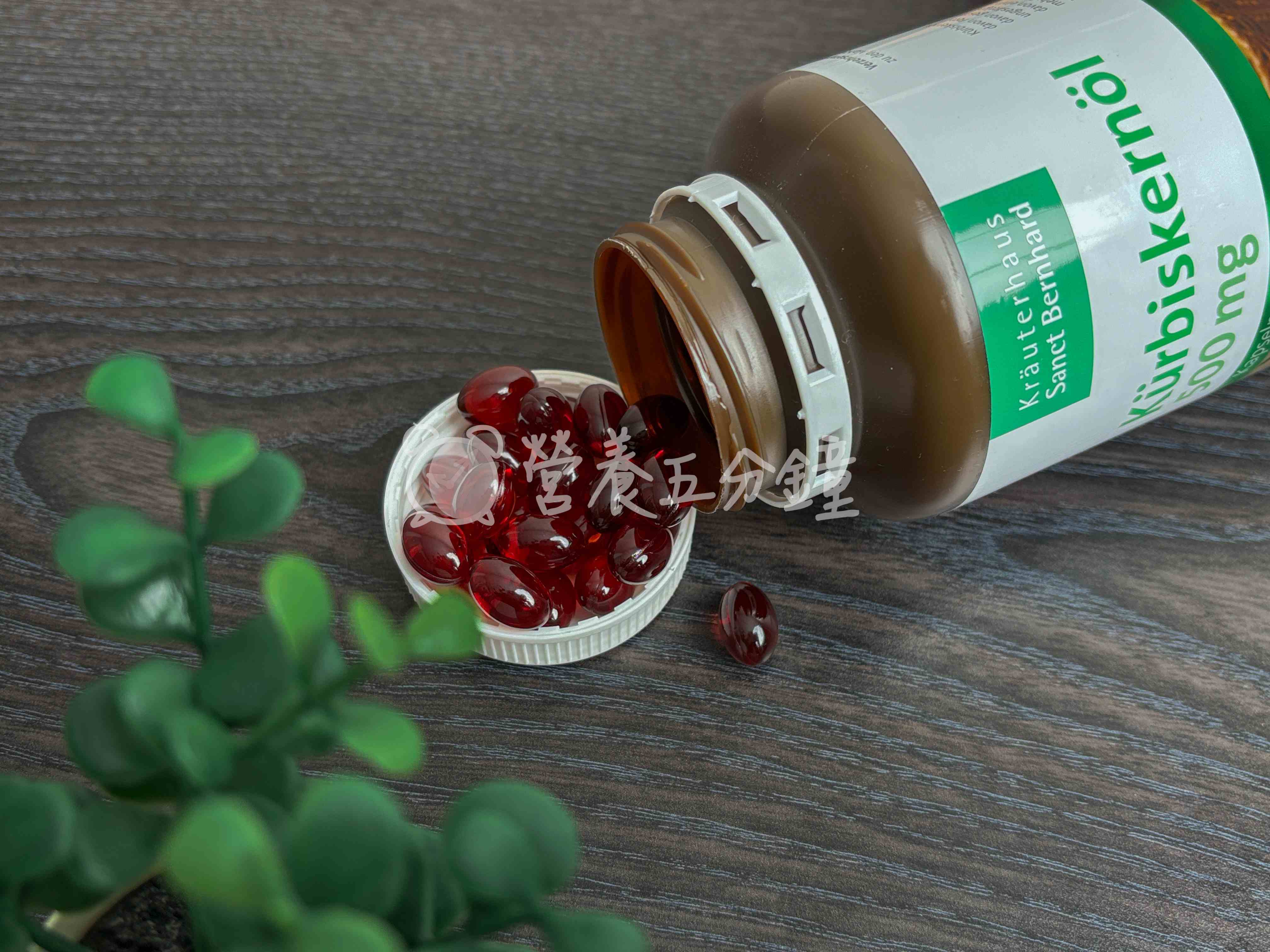 南瓜籽油推薦：聖伯納德南瓜籽油膠囊 