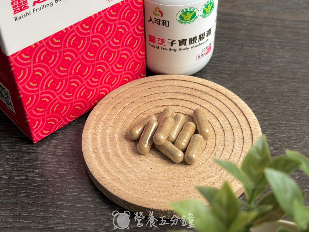 靈芝推薦:【人可和】靈芝子實體膠囊