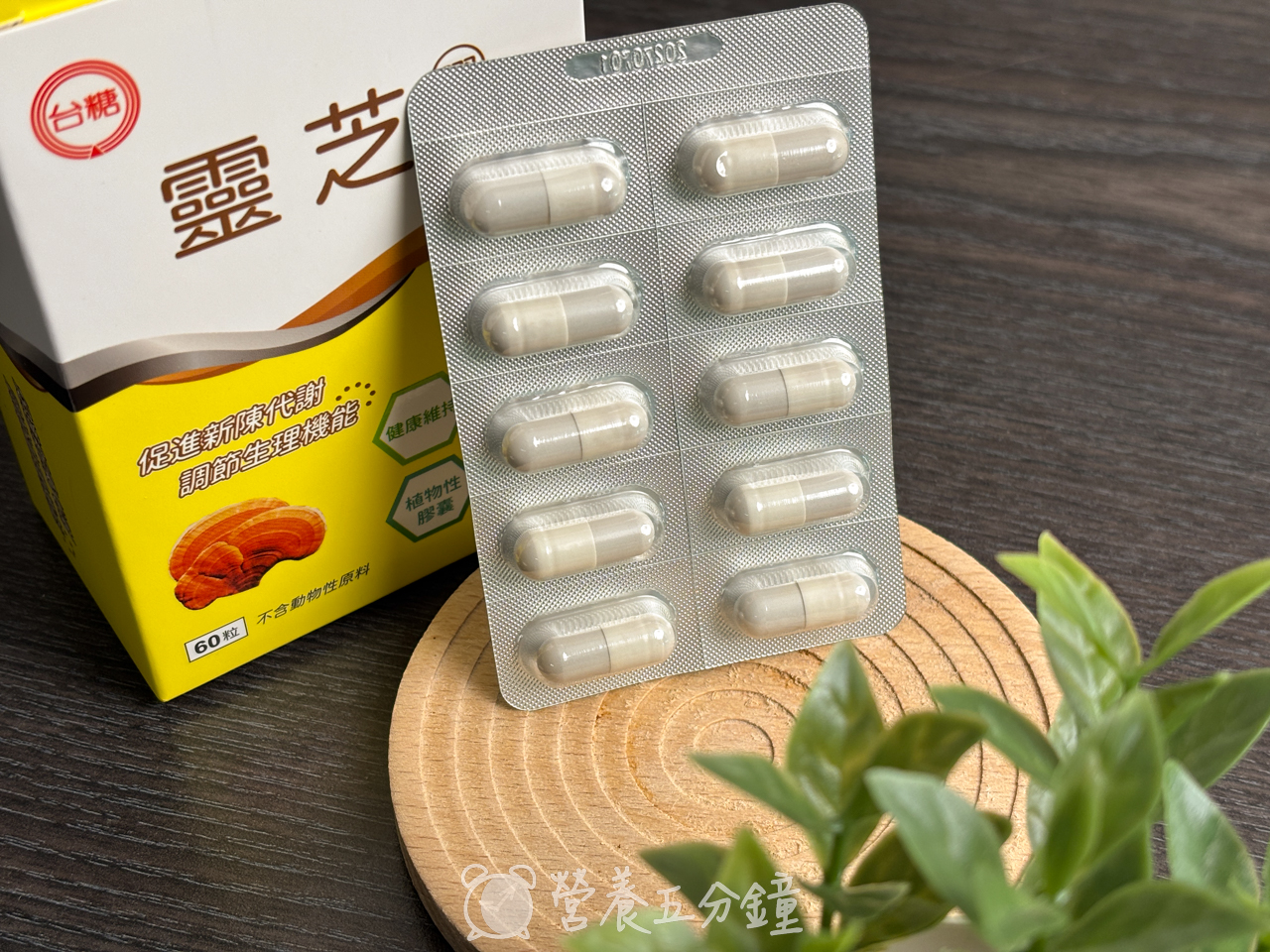 靈芝推薦:【台糖生技】靈芝膠囊