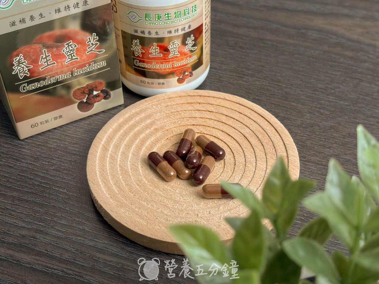 靈芝推薦:【長庚生物科技】養生靈芝