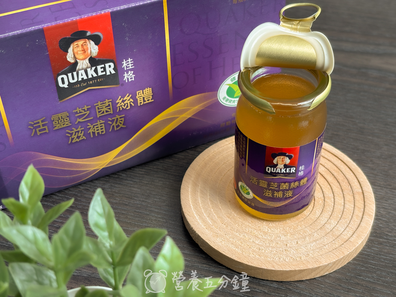 靈芝推薦:【桂格】活靈芝菌絲體滋補液