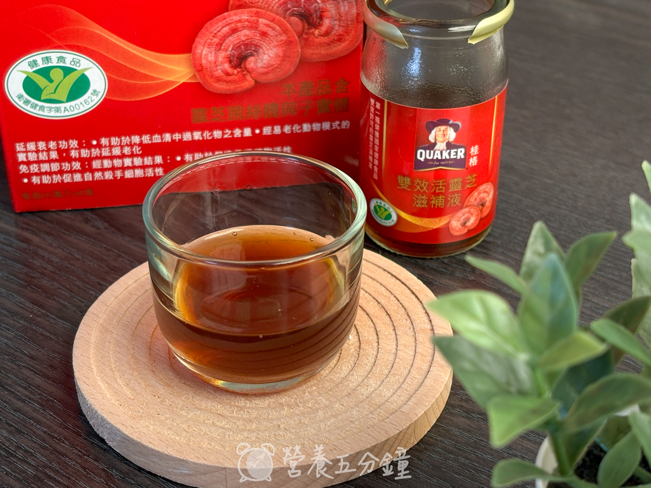 靈芝推薦:【桂格】雙效活靈芝滋補液