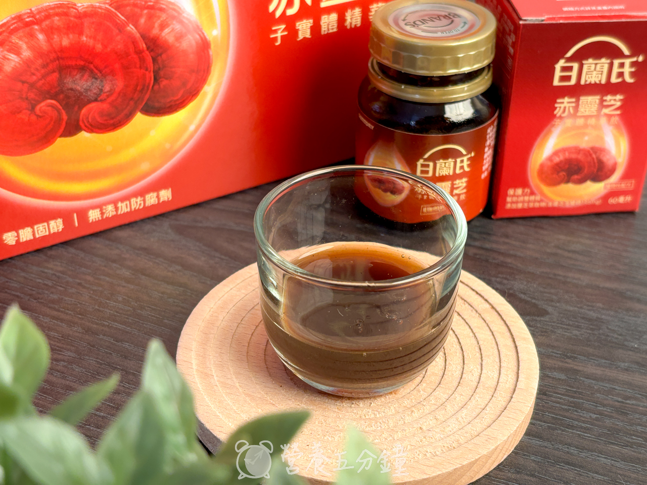 靈芝推薦:【白蘭氏】赤靈芝子實體精華飲