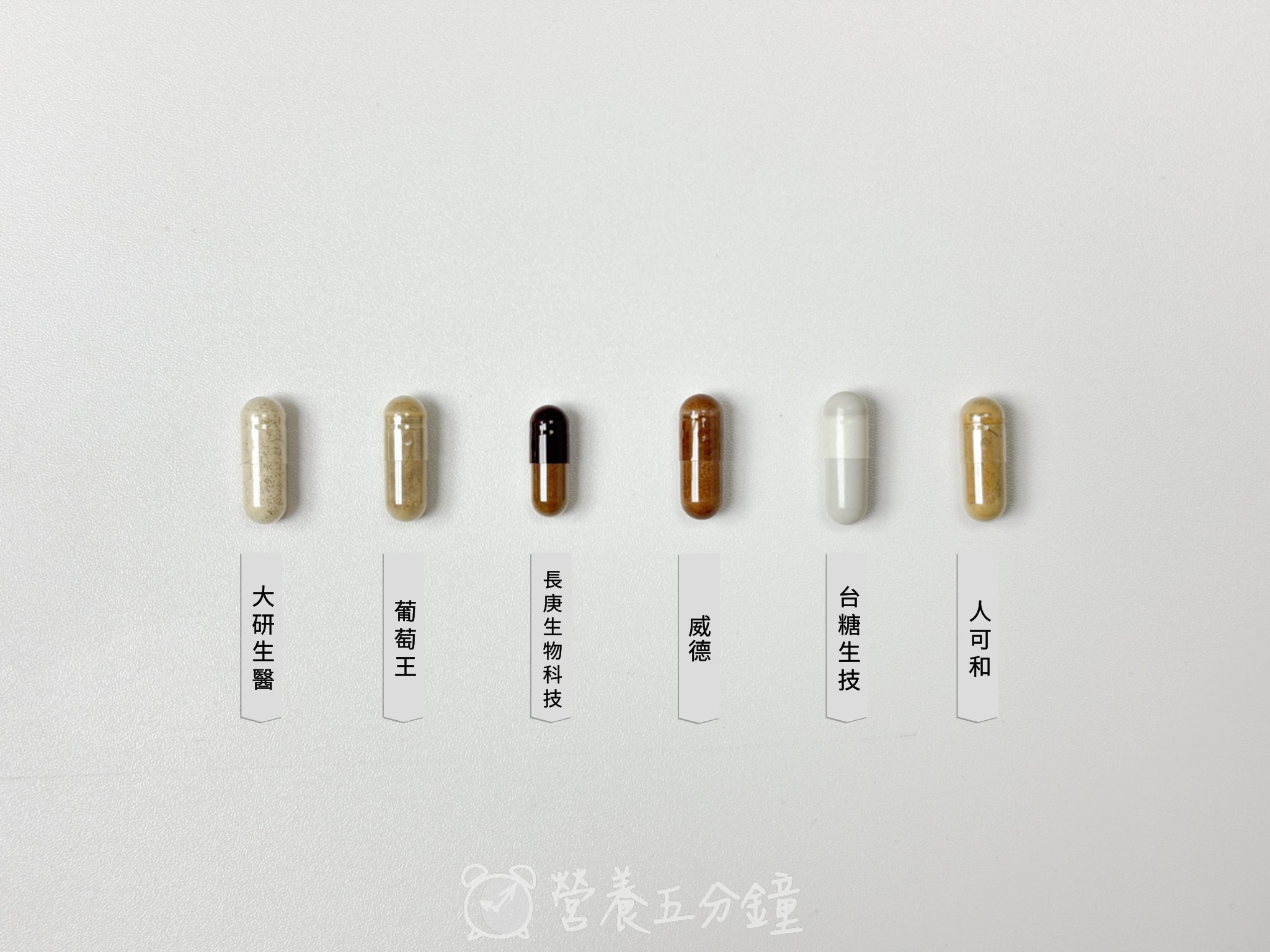 靈芝劑型比較