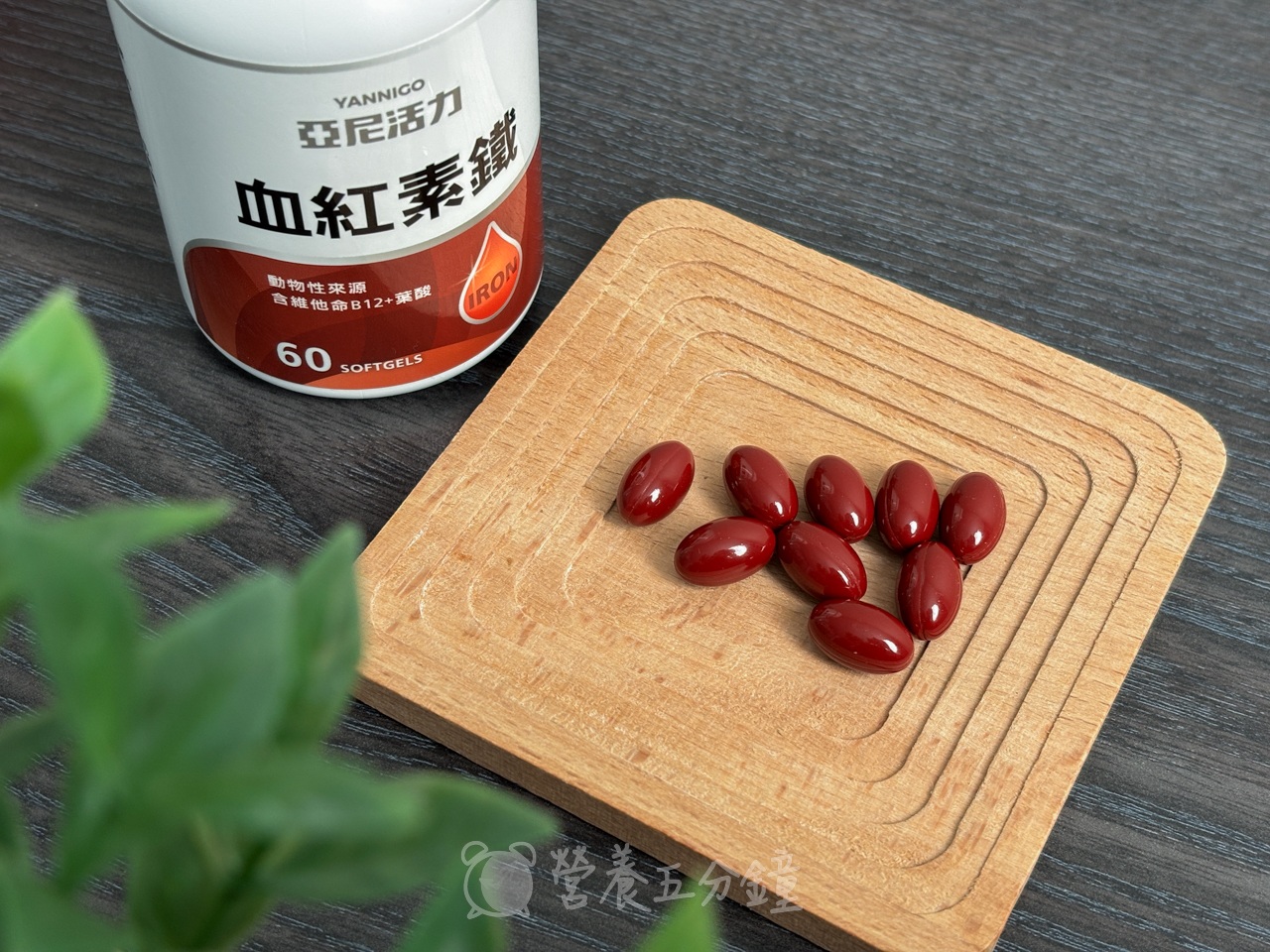 補鐵推薦:【亞尼活力】血紅素鐵+B12膠囊食品