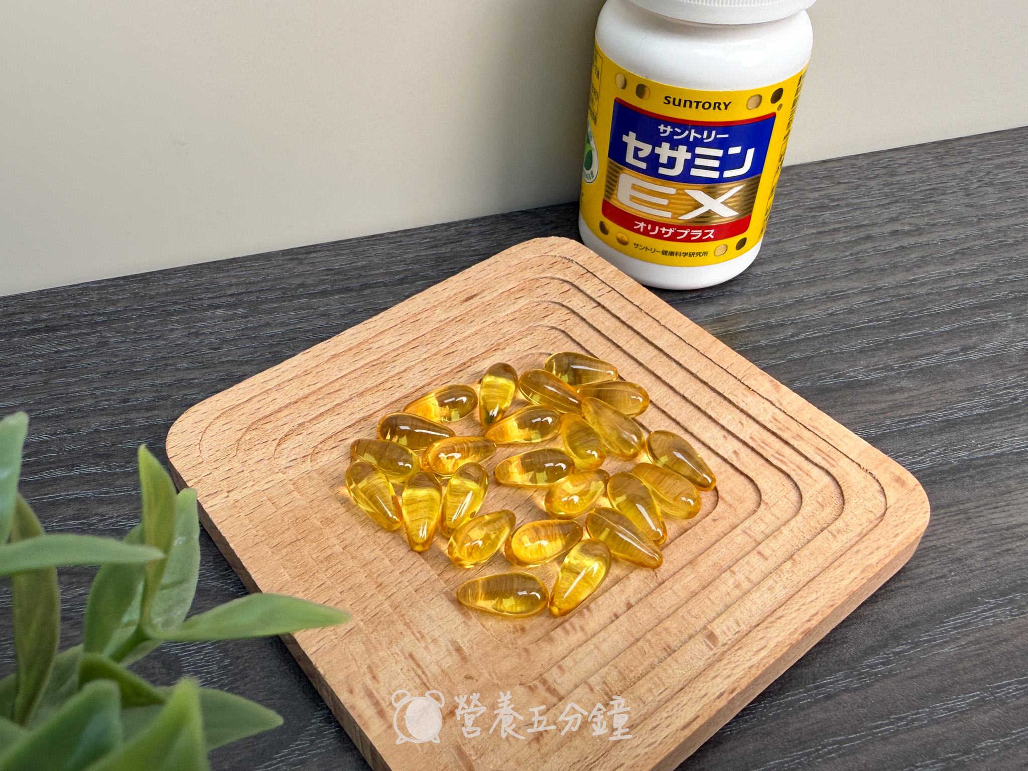 護肝保健品推薦:【三得利】芝麻明 EX