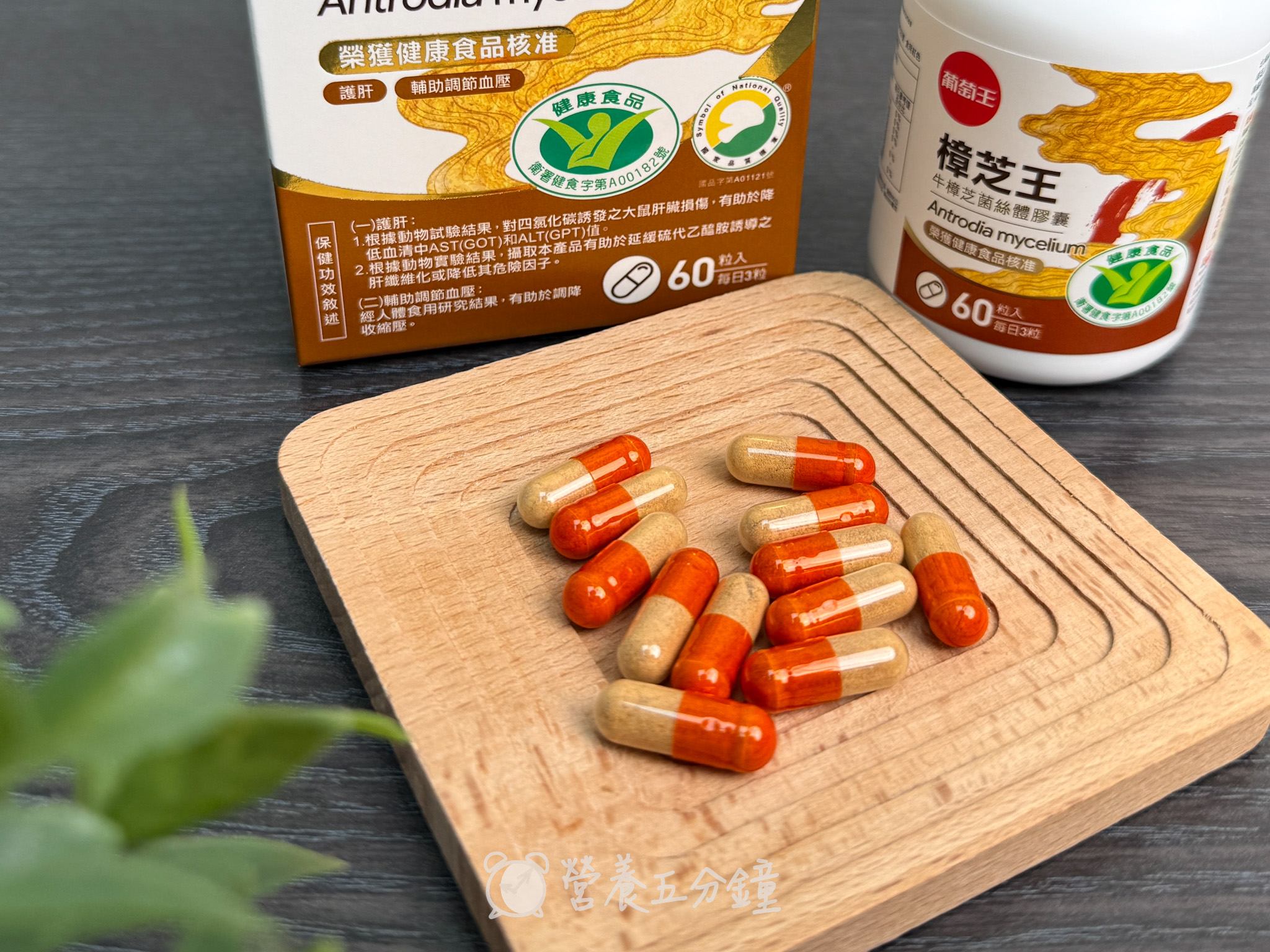 護肝保健品推薦:【葡萄王】認證樟芝王菌絲體膠囊